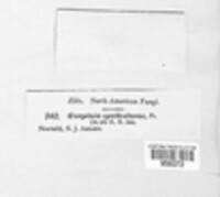 Image Associated With the Occurence